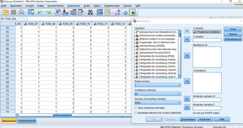 Statistische Auswertung SPSS